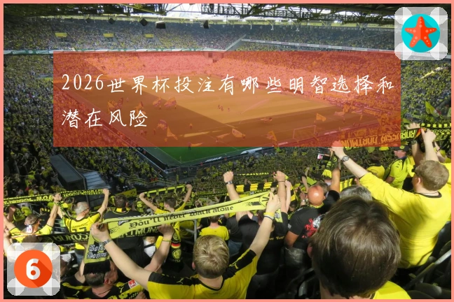 2026世界杯投注有哪些明智选择和潜在风险
