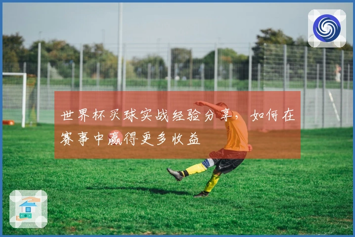 世界杯买球实战经验分享，如何在赛事中赢得更多收益