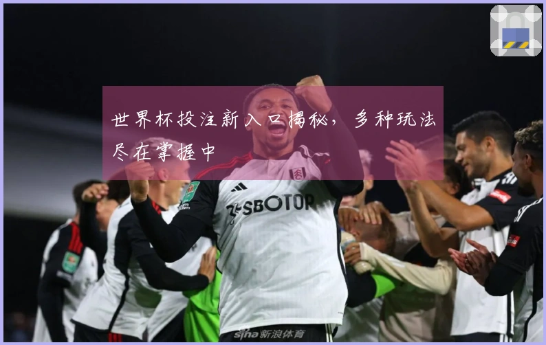 世界杯投注新入口揭秘，多种玩法尽在掌握中