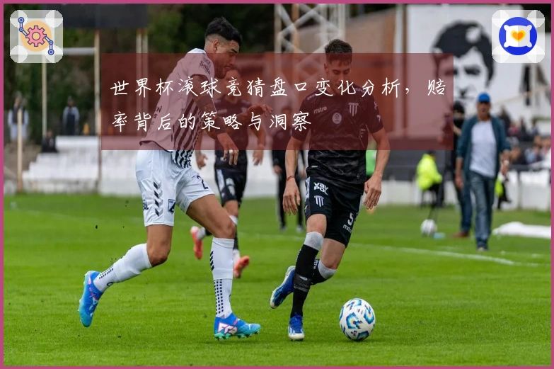 世界杯滚球竞猜盘口变化分析，赔率背后的策略与洞察