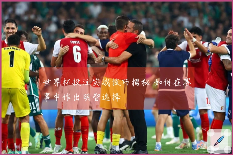 世界杯投注实战技巧揭秘 如何在赛事中作出明智选择