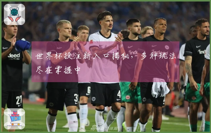 世界杯投注新入口揭秘，多种玩法尽在掌握中