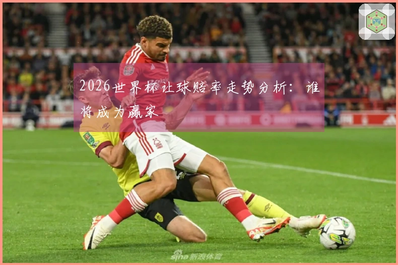 2026世界杯让球赔率走势分析：谁将成为赢家