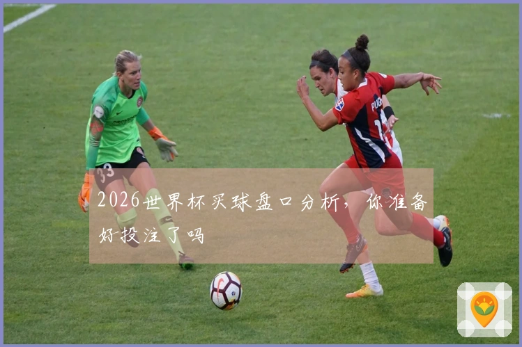 2026世界杯买球盘口分析，你准备好投注了吗