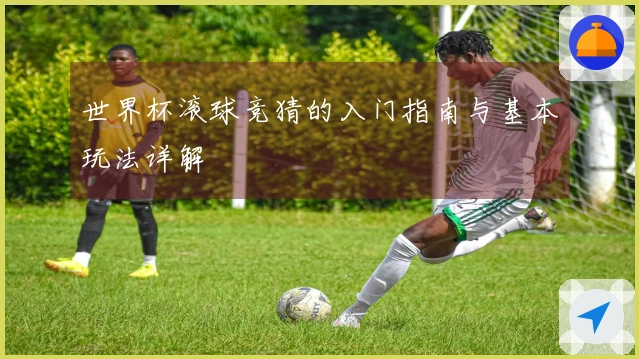 世界杯滚球竞猜的入门指南与基本玩法详解