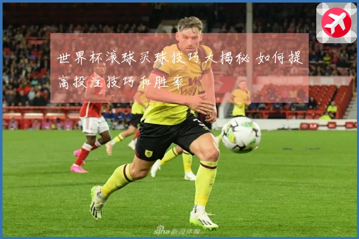 世界杯滚球买球技巧大揭秘 如何提高投注技巧和胜率